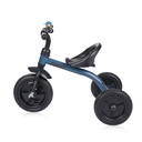 Tricycle firs bleu