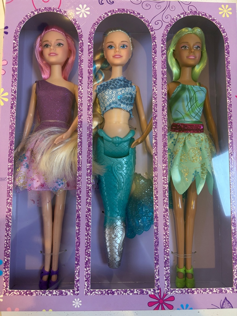 COFFRET 3 FEES